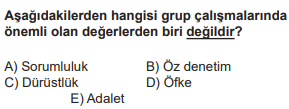 Soru Görseli